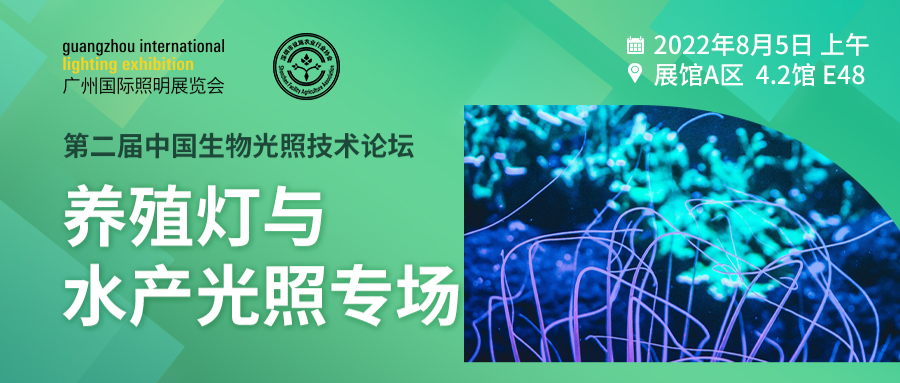 广州国际照明展