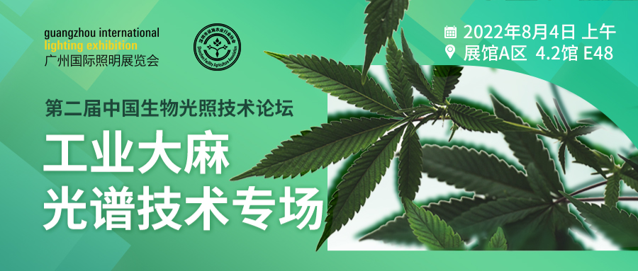 广州国际照明展